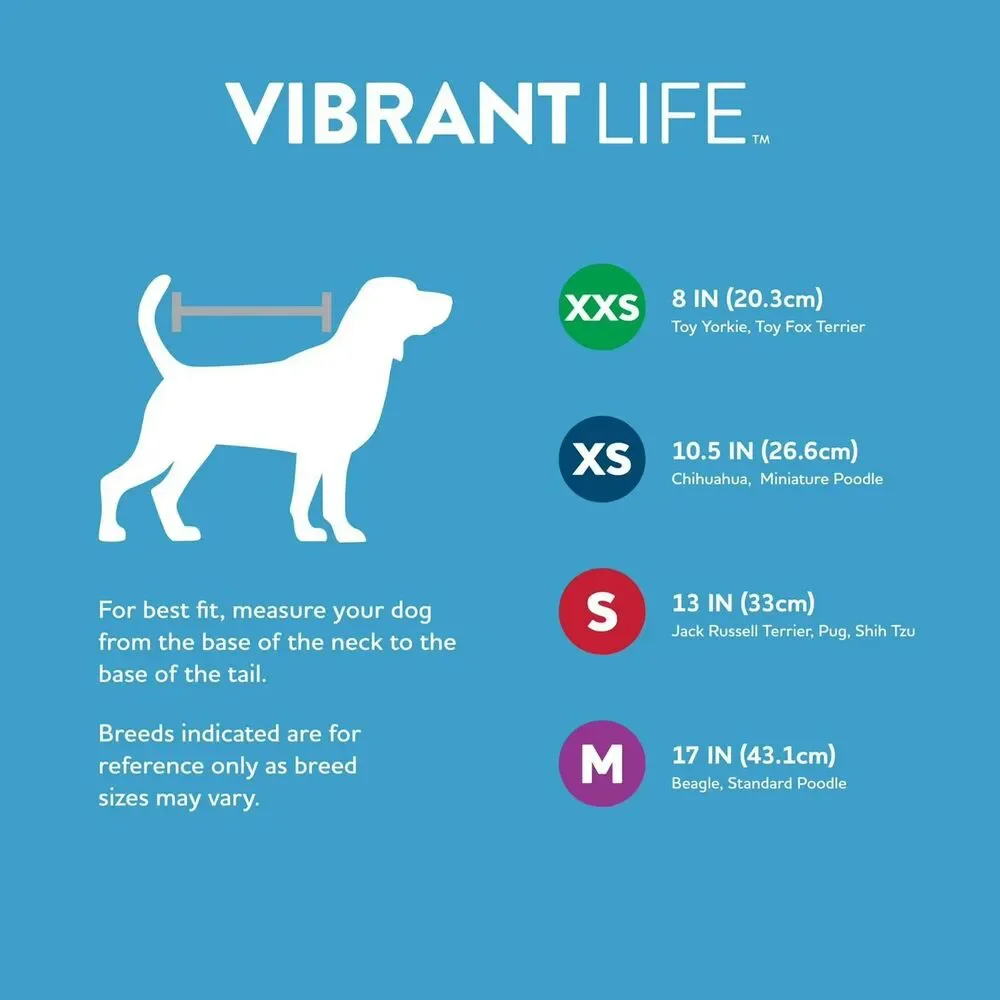 Vibrant‎ Life The Snuggle Is Real Dog T-Shirt, Blue, Small 10-20 Lb